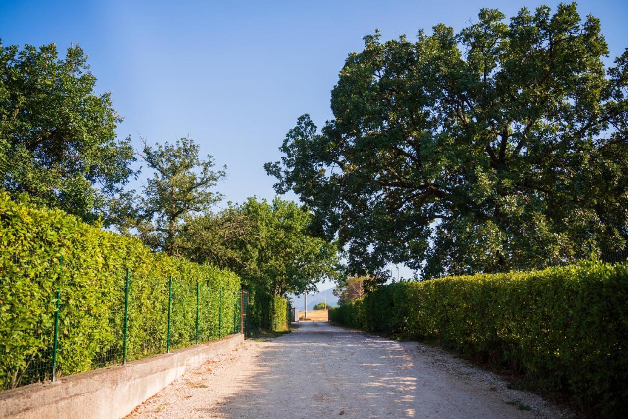 Le Colonne Bed & Breakfast Cassino Bagian luar foto